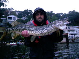 Mike Thompson with a beautifully marked Hopatcong tiger musky