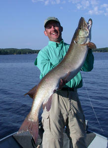 Steve Scornavacca with a 52" Canadian fish