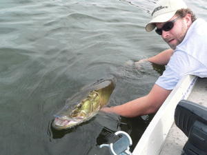 Brian Kroll of BK lures releasing a thick 45 incher back into GWL