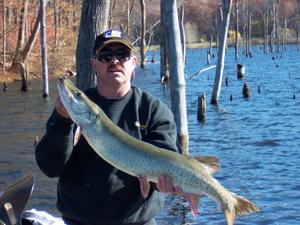 Jeff Young with a 40 incher we call lumpy, this fish was caught and release 3 times in 4 weeks by our members