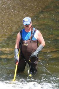 Pat Marshall electro-shocking during a fish rescue