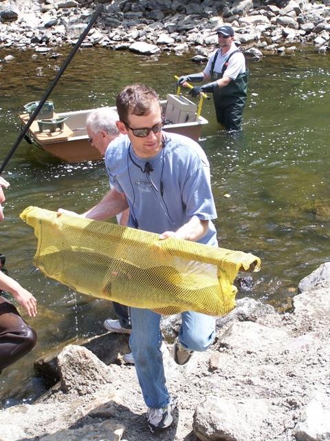 Steve with a musky saved during a fish rescue
