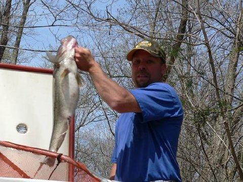 Chuck with a walleye rescued from below GWL dam