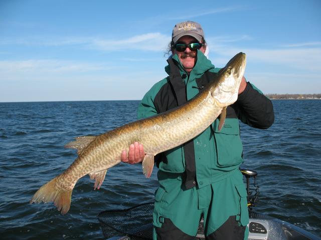 Pat Marshall with another Minn. musky